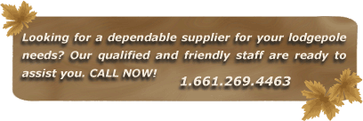 Looking for a dependable supplier for your lodgepole needs? Our qualified and friendly staff are ready to assist you. CALL NOW! 1.661.269.4463