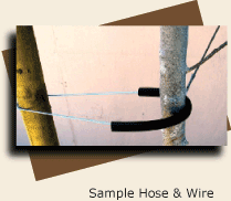 Sample Hose & Wire
