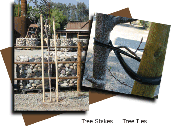 Tree Stakes, Tree Ties